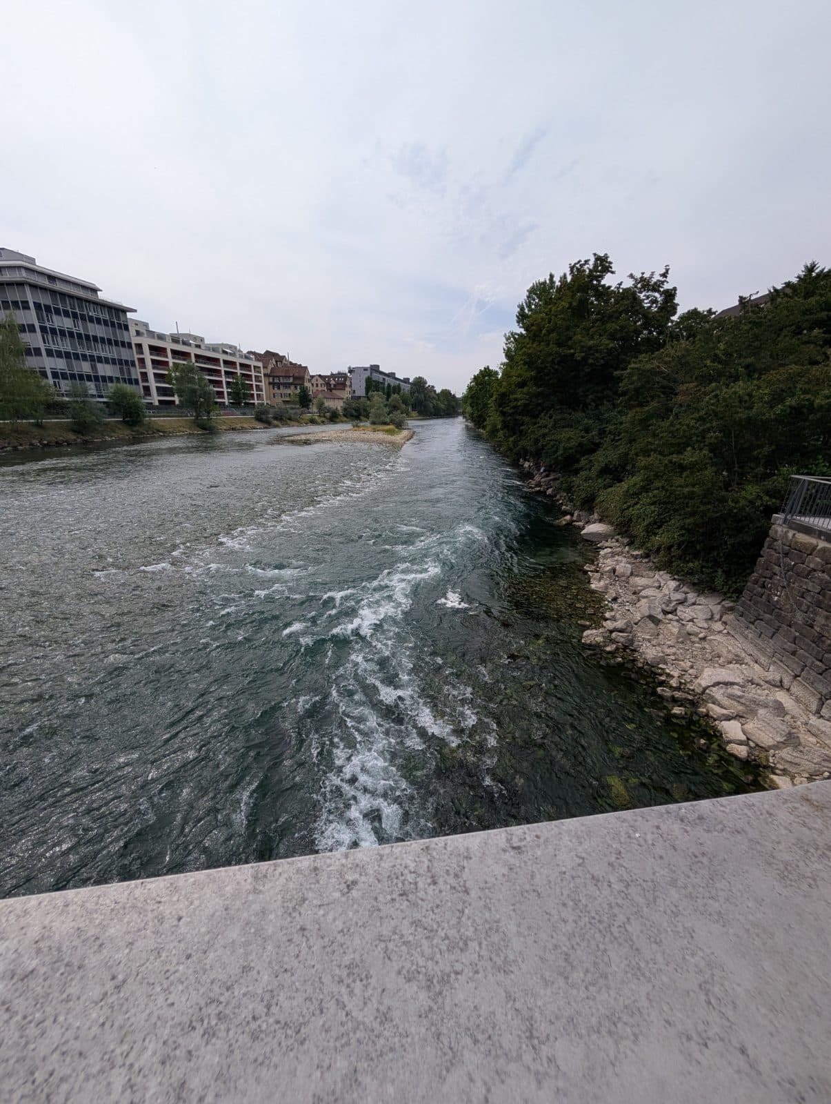 Limmat River Swim and Float