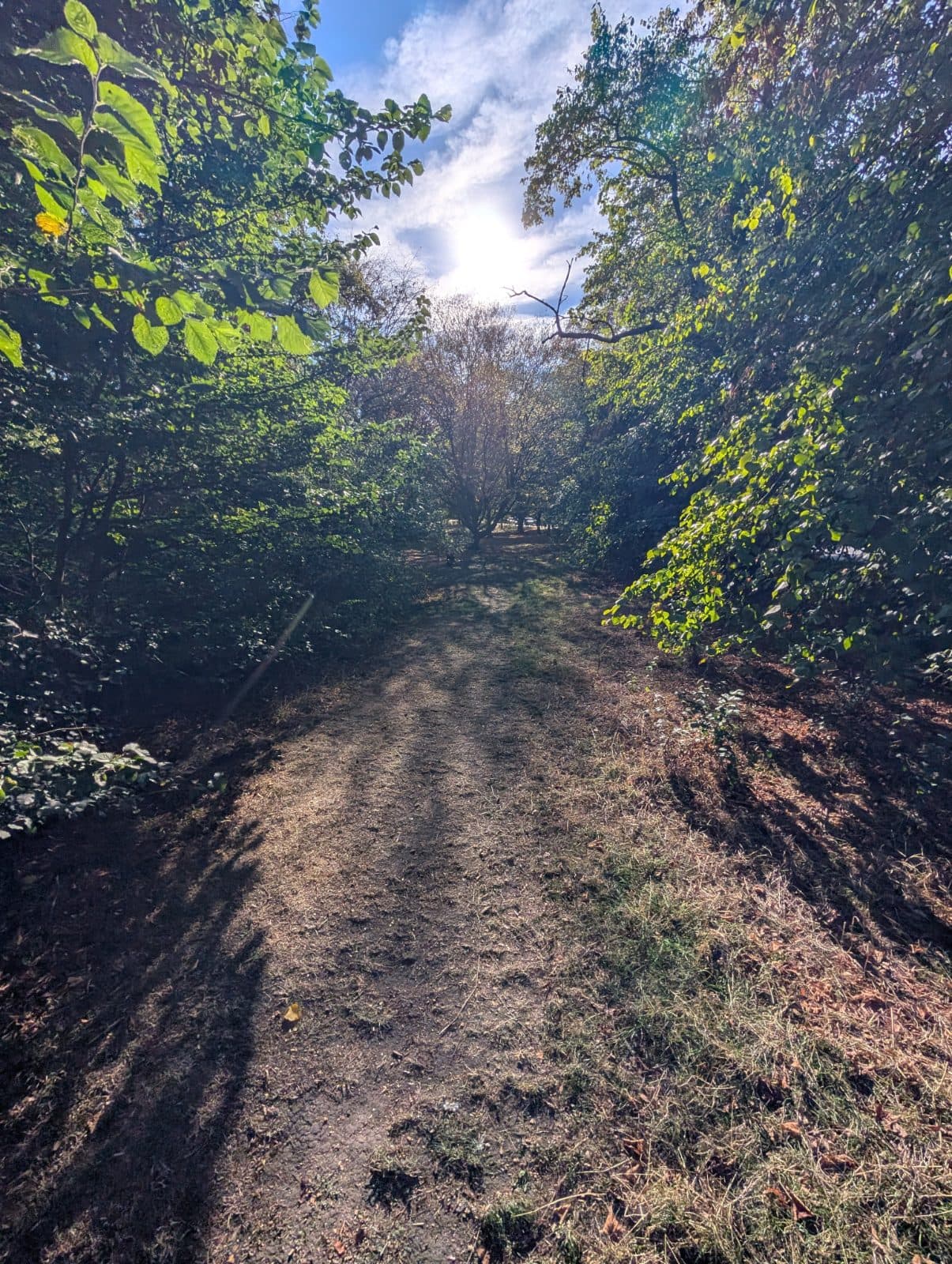 Primrose Hill