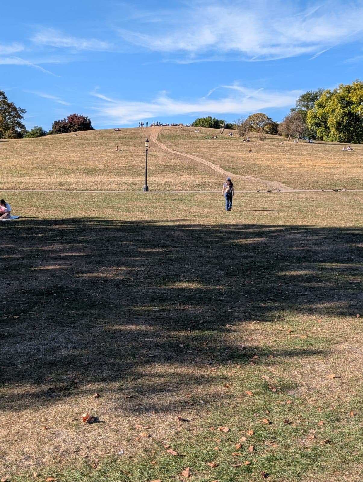 Primrose Hill